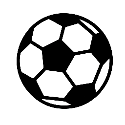 DLS 26